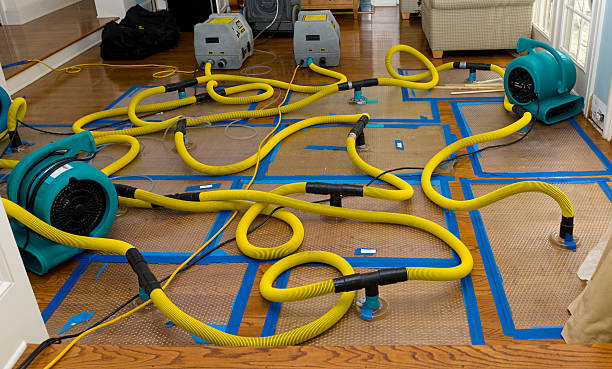 Professional Basement Flood Cleanup technician working in Park City, IL